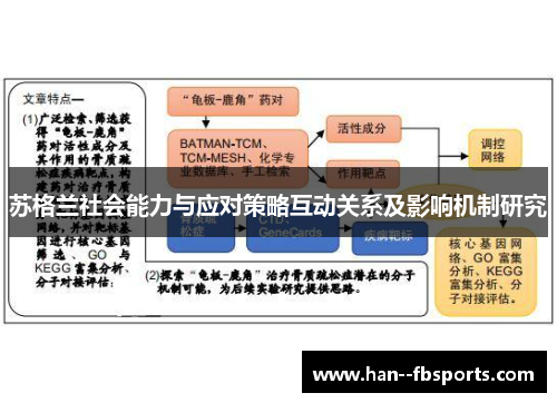 苏格兰社会能力与应对策略互动关系及影响机制研究 苏格兰社会能力与应对策略互动关系及影响机制研究