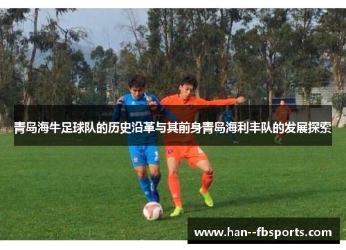 青岛海牛足球队的历史沿革与其前身青岛海利丰队的发展探索 青岛海牛足球队的历史沿革与其前身青岛海利丰队的发展探索